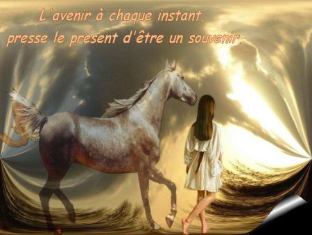 les leçons de la vie
